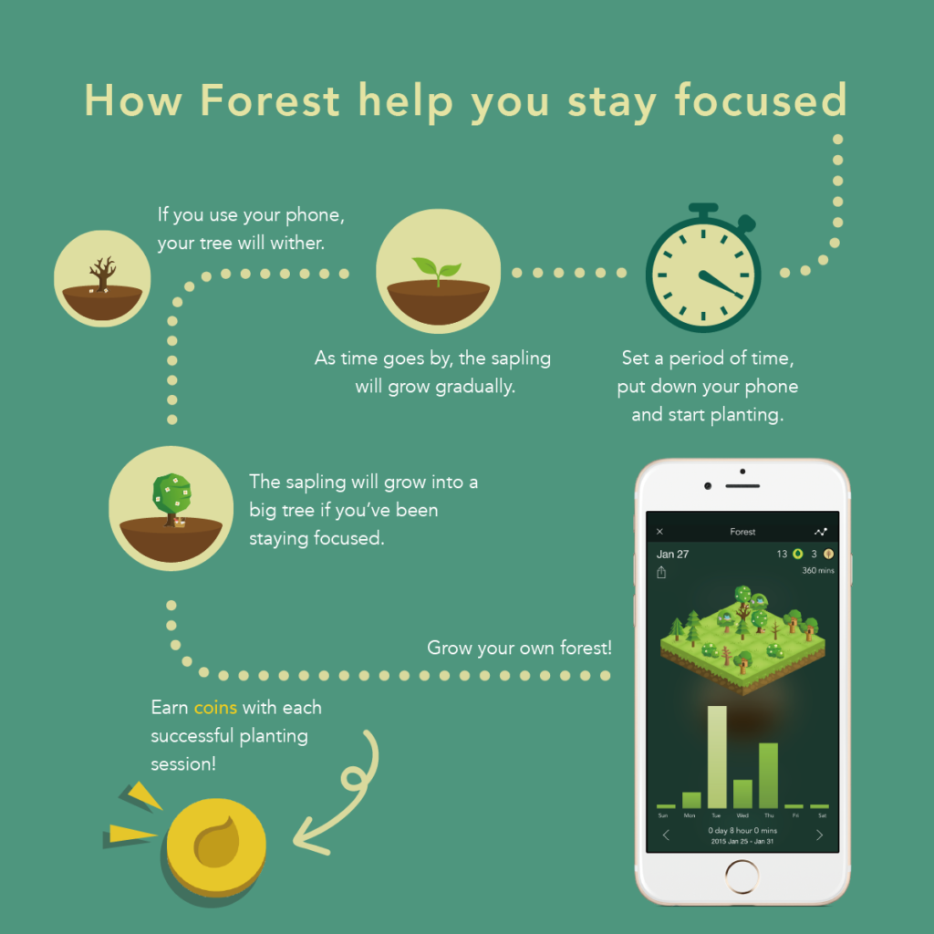 Forest time management strategies